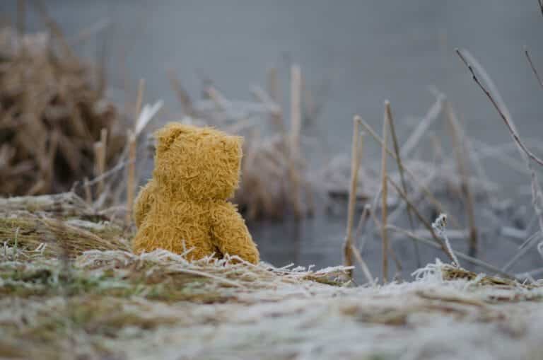 einsamer teddybär