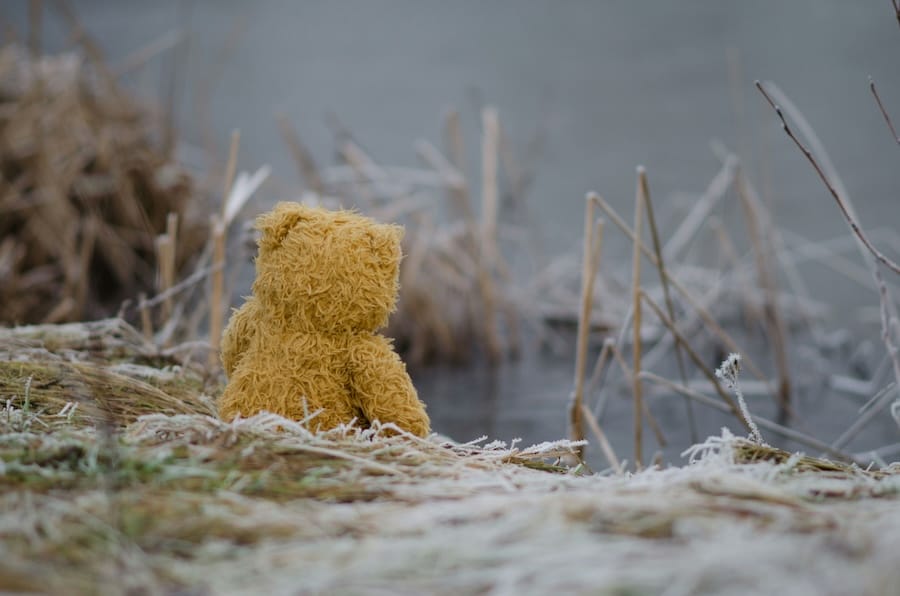 einsamer teddybär